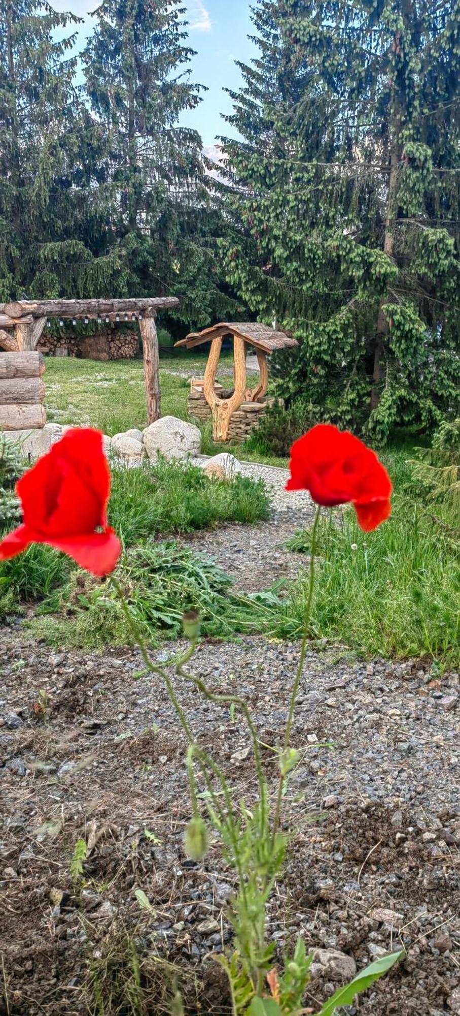 Mlyn Tatry Apartman Veľký Slavkov Szoba fotó